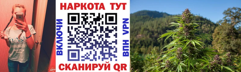 Виды наркотиков купить Заречный КОКАИН  Меф мяу мяу  ГАШИШ  МАРИХУАНА 