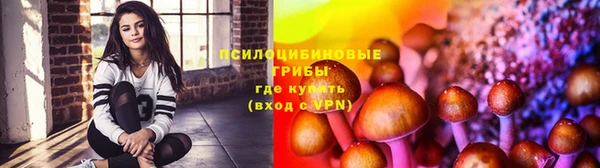 мдпв Заволжье