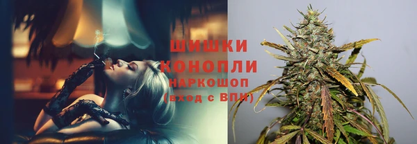 мдпв Заволжье