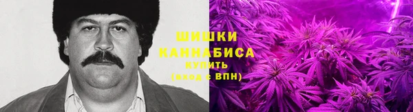 мдпв Заволжье