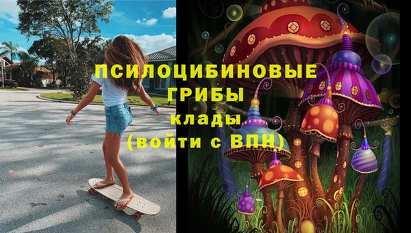 мдпв Заволжье