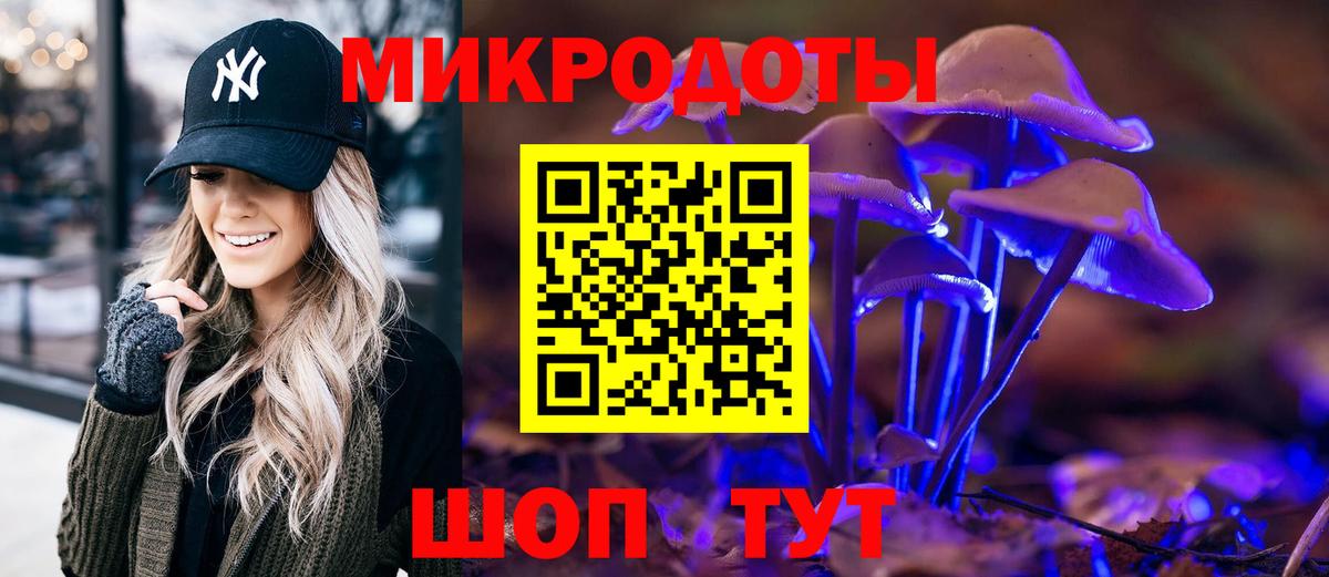 Галлюциногенные грибы Magic Shrooms Заречный